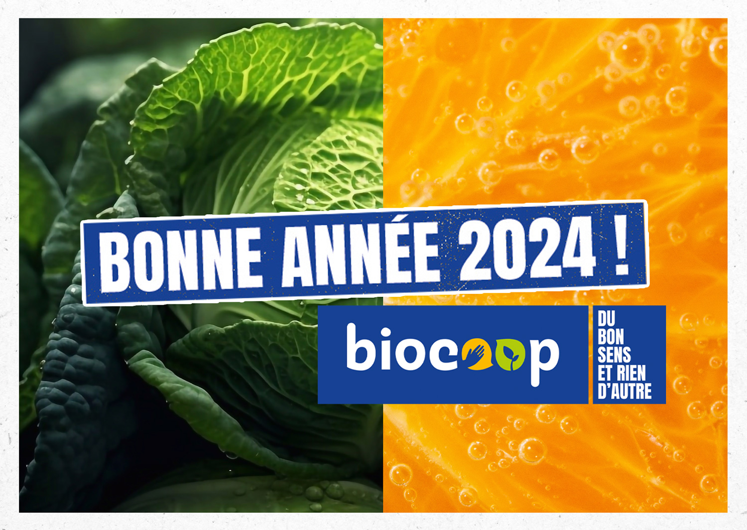 Tous nos voeux 2024 !