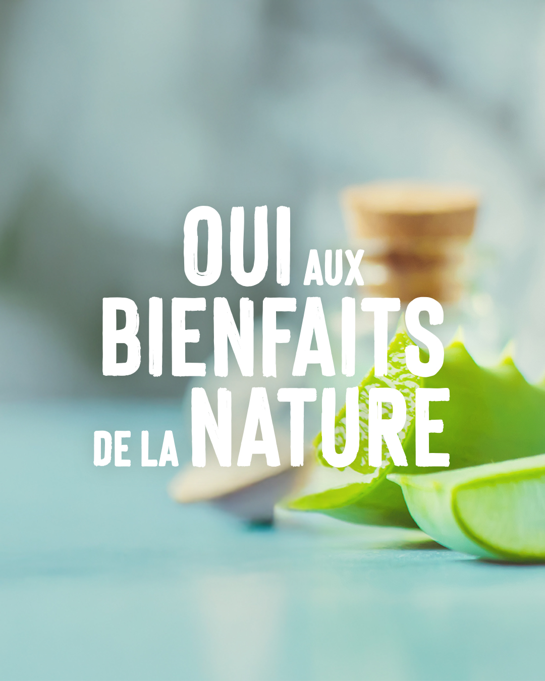 Plantes et détente