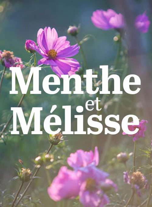 Menthe et Mélisse