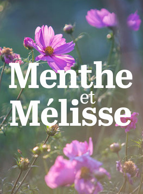 Menthe et Mélisse Menthe et Mélisse