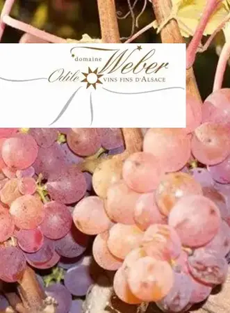 Domaine Weber Odile