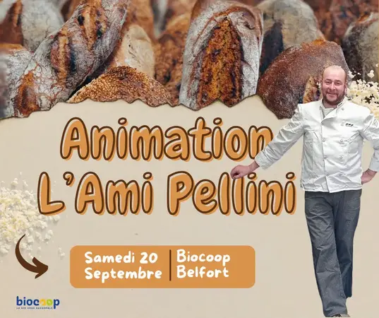 L’Ami Pellini