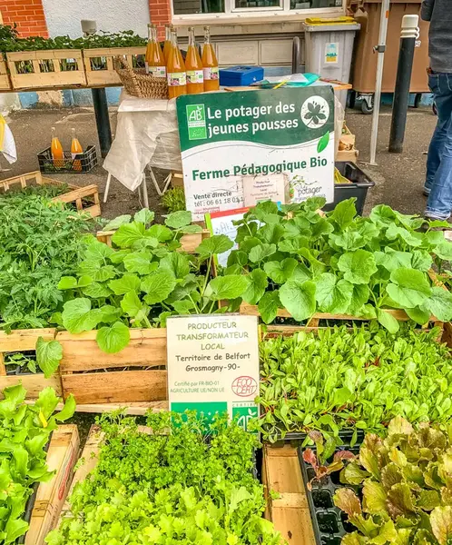 Retour sur le Marché des Producteurs Locaux à Biocoop Valdoie...