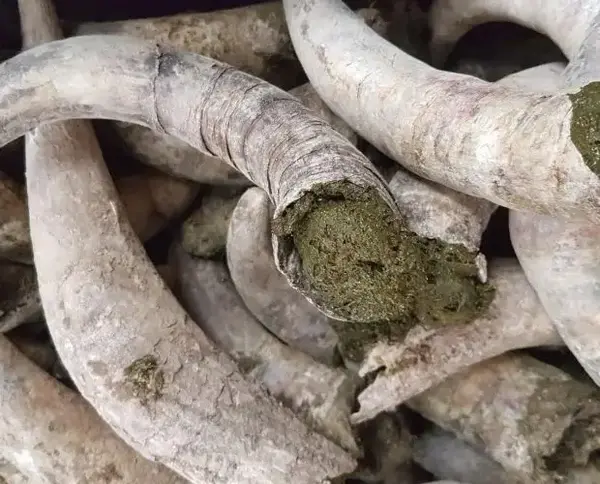 Jean Foyer, chercheur d'altermodernité