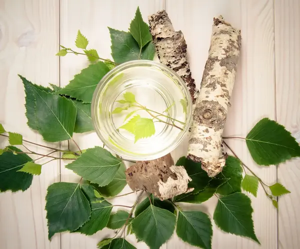 La sève de bouleau fraîche est arrivée en magasin !