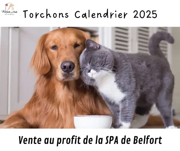 Soutien à la SPA de Belfort